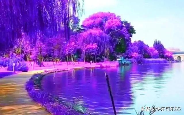 春秋时期季友助鲁僖公上位理应得到赏赐,为何谋逆的孟叔也并封?